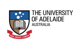 Logo 24