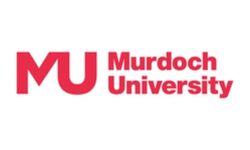 Logo 28